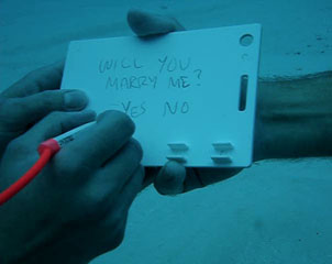 Underwater Proposal Video