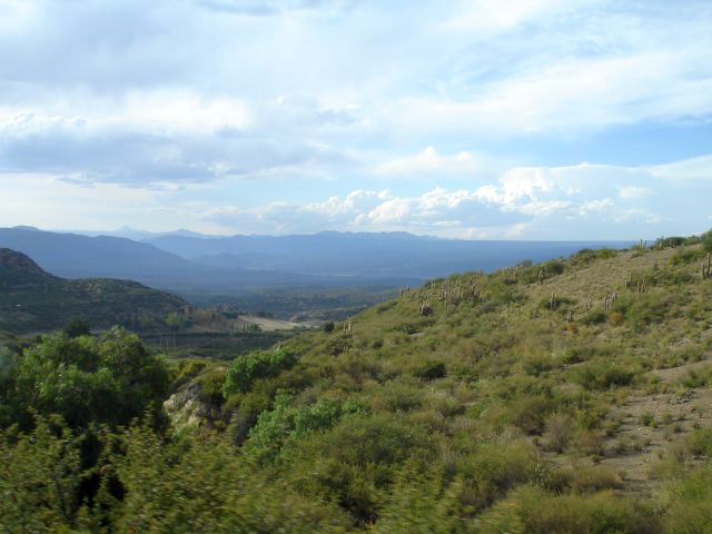 view_from_the_train4.jpg