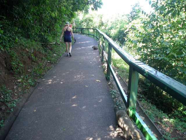 walking_to_the_falls.jpg