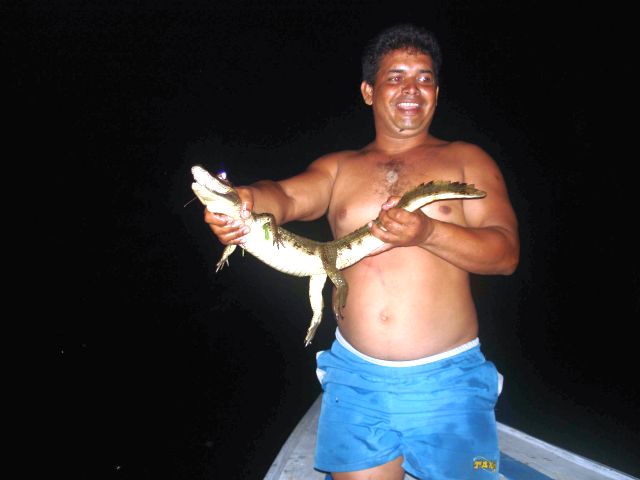 big_caiman_ceciliano.jpg