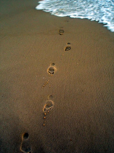 footprints.jpg