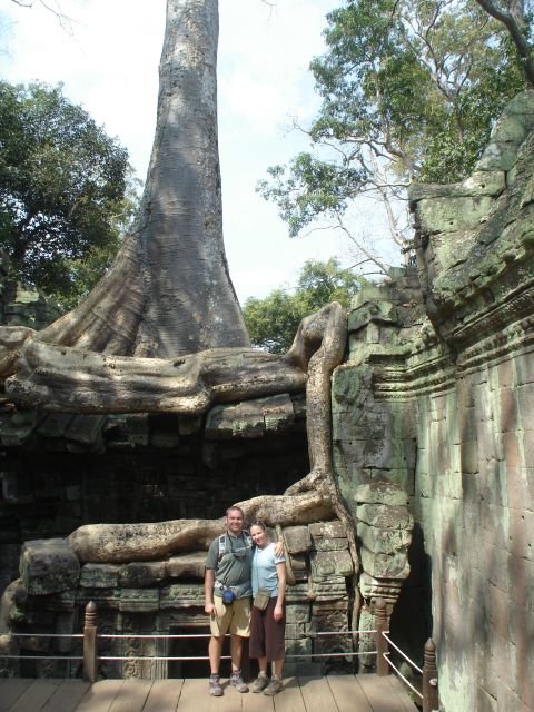 amazing root