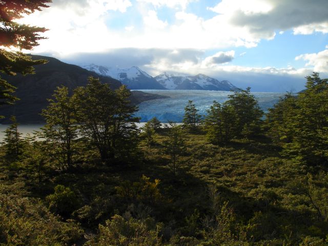 evening_glacier_view.jpg