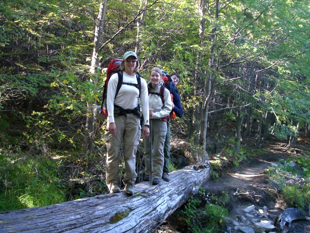log_crossing.jpg