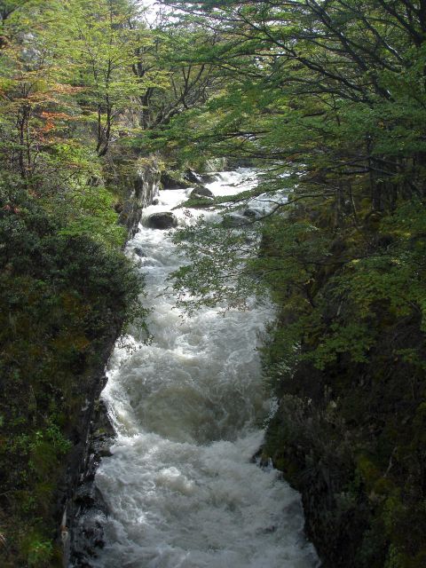 rio_olguin2.jpg