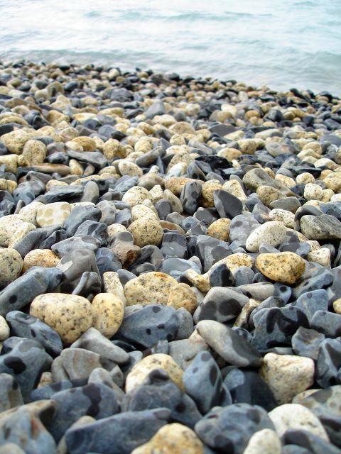 shore_of_nordenskold.jpg