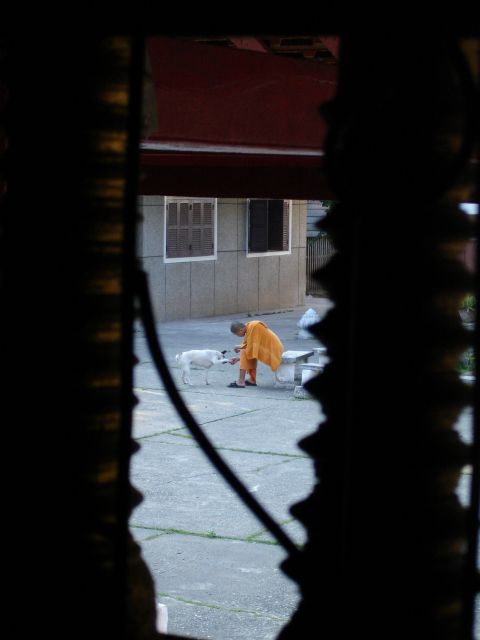 dog_and_monk.jpg