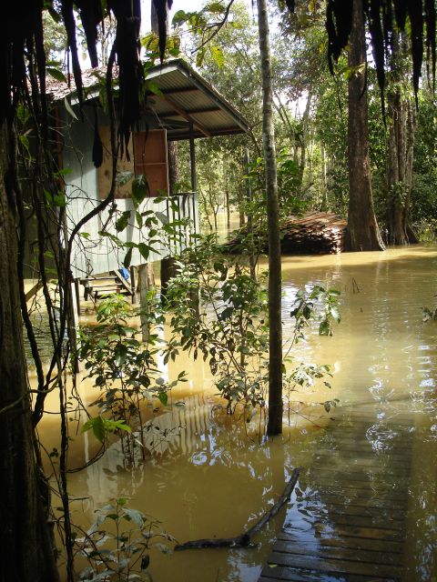 flooded uncle tans