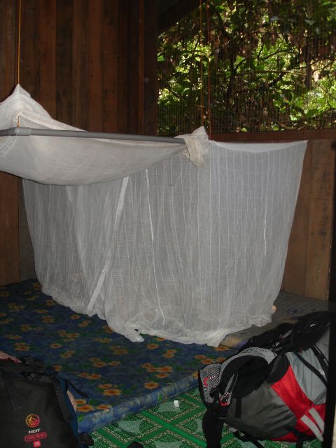 uncle tans camp