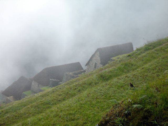 misty_machu_picchu6.jpg