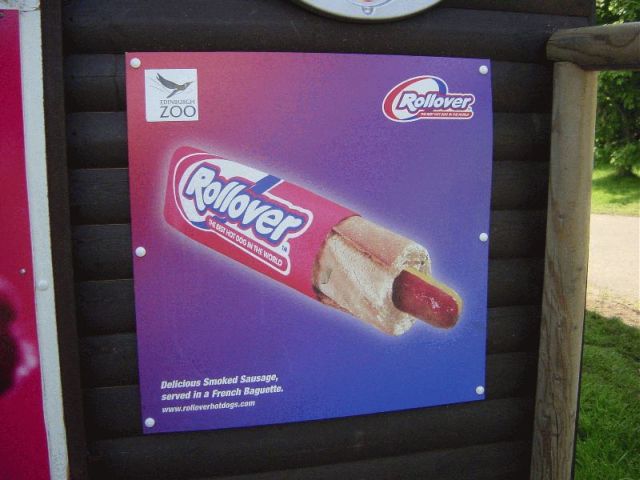 res best hot dog in the world