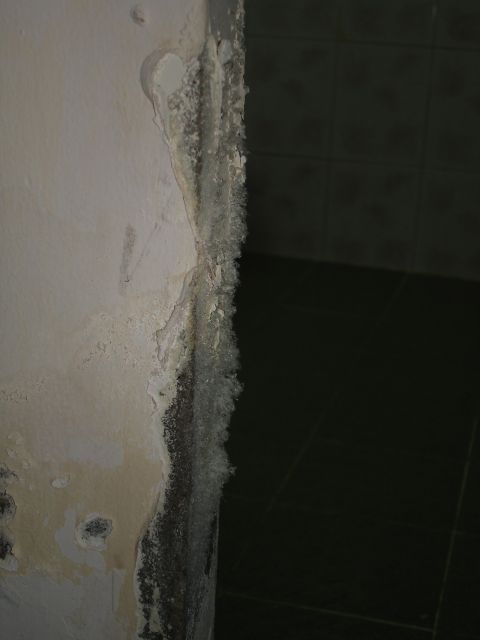 mold_layer_in_hotel.jpg