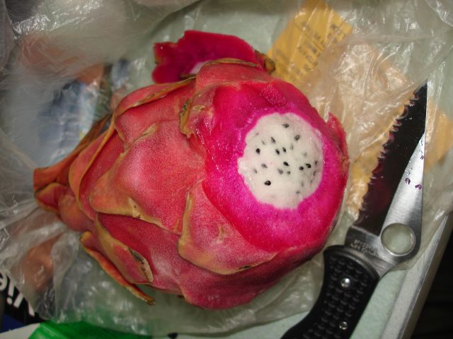 dragon fruit