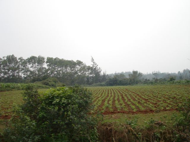 vietnamese countryside