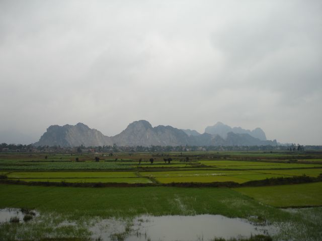 vietnam rice paddies