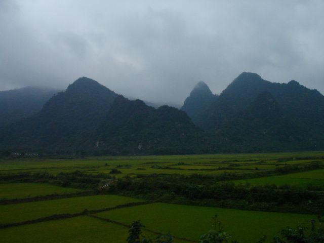 vietnam rice paddies2