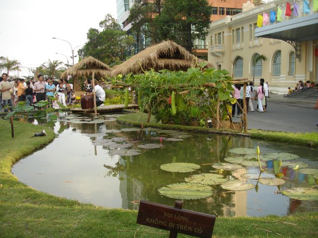 street_lily_pond.jpg